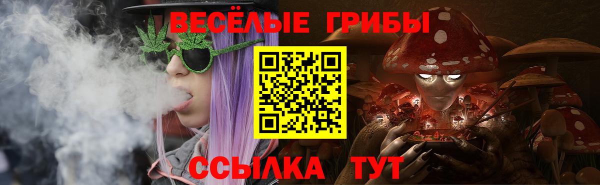 Галлюциногенные грибы прущие грибы Вязьма